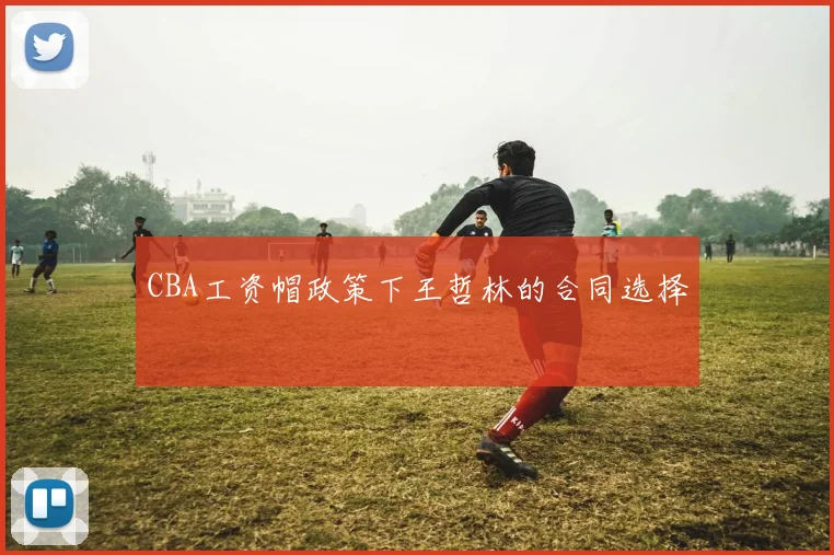CBA工资帽政策下王哲林的合同选择