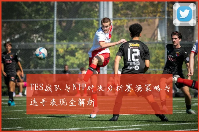 TES战队与NIP对决分析赛场策略与选手表现全解析