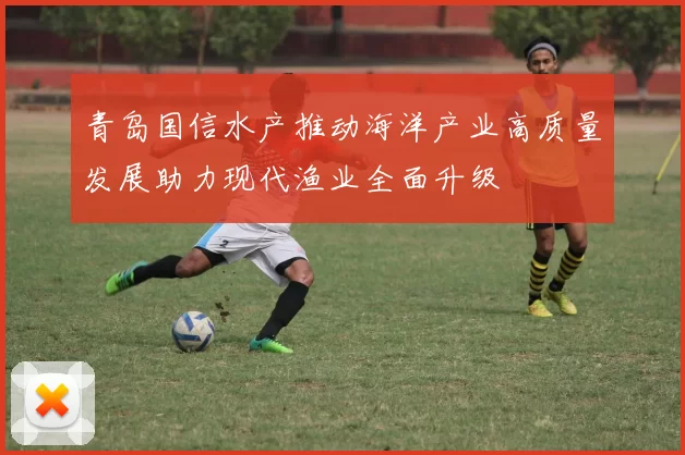 青岛国信水产推动海洋产业高质量发展助力现代渔业全面升级
