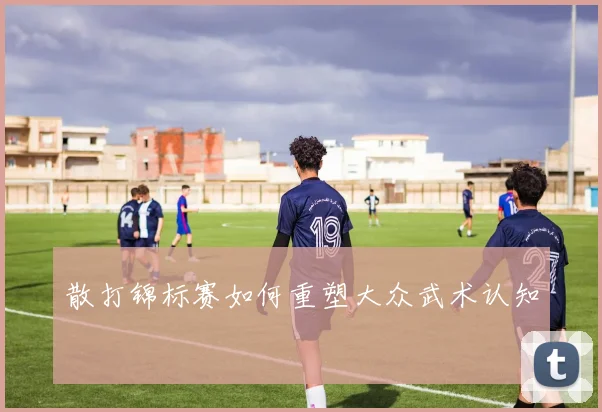 散打锦标赛如何重塑大众武术认知