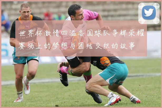 世界杯激情四溢各国球队争辉荣耀赛场上的梦想与团结交织的故事